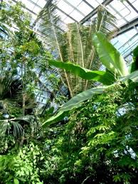 Der heutige botanische garten entstand 1794, nachdem es dem professor für botanik a.j.g.c. Thuringen Lese Botanischer Garten Jena