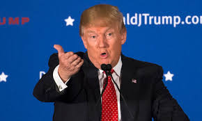 What country refers to a person who controls politics behind the scenes as a pime minister in black? Donald Trump Says Ted Cruz Is An Anchor Baby In Canada Daily Mail Online