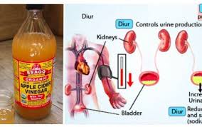 Don T Ever Use Apple Cider Vinegar If You Re On Any Of The Following Medications Apple Cider Vinegar Drink Apple Cider Vinegar Remedies Apple Cider Vinegar Benefits