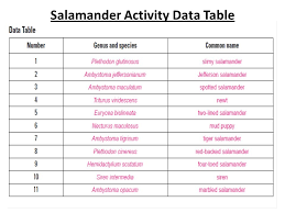 Dichotomous key worksheet with answers recognizing the quirk ways to acquire this book dichotomous key worksheet with answers is additionally useful. Dichotomous Keys Ppt Video Online Download