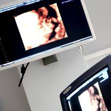 Veteva Veteriner Klinigi Buyukcekmece De Veteriner