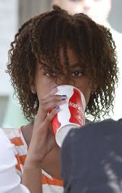 Malia Obama Hair Twists Twist Hairstyles Natural Hair Styles Natural Hair Inspiration