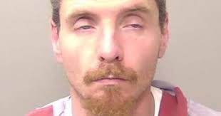 Armed Decatur drug dealer gets 16 year sentence