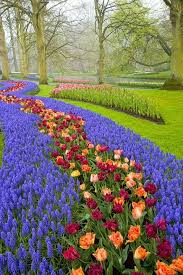 Keukenhof Gardens Near Amsterdam Netherlands Keukenhof Flowers Holland Beautiful Gardens Beautiful Flowers Beautiful Nature