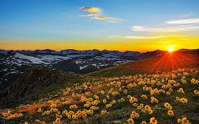 Hd Wallpaper Sunset Sun Rays Landscape Stone Peaks Mountain Meadow With Yellow Flowers Beautiful Spring Landscape Colorado Usa 1920 1200 Wallpaper Flare