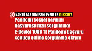 Sosyal yardım paraları (3.faz) ne zaman yatacak? Pandemi Sosyal Yardimi Basvurusu Hizli Sorgulama E Devlet 1000 Tl Pandemi Basvuru Sonucu Online Sorgulama Ekrani Ekonomi Emlak Pencerem