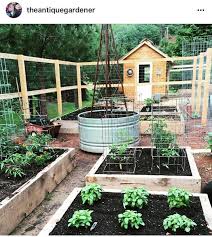I Love Love Theantiquegardener Raised Bed Garden And Chicken Coop I Love The Pecky Cedar B Building A Raised Garden Garden Planter Boxes Backyard Landscaping