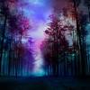 Dark cloak in mysterious forest,wizard,sorcerer,illustration. 1