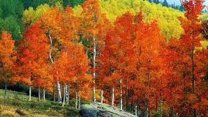 44+ Fall Mountain Desktop
