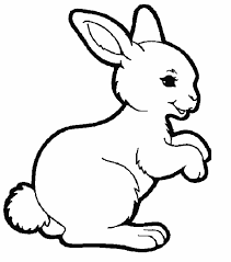 The key to mastery is repetition and that goes double for drawing new animals. Easy Drawing Drawing Pictures Of Animals For Kids