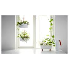 Ikea Bittergurka Plant Pot White Hanging Plants Hanging Planters Potted Plants