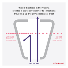 On the bad side, cancers are overly sensitive, moody, and vindictive. Breaking Research News The Good Bacteria In Your Vagina May Help To Prevent Ovarian Cancer The Eve Appeal