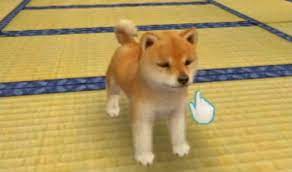 In ancient egypt, wealthy families dressed their cats in elegant jewels because they believed cats had magical powers. Puppies Take A Stroll In Nintendogs Cats Release Date Announced Video Games Blogger