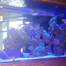 Lost Reef Lounge Reviews 2025