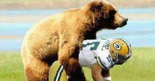 Polar bears did very well in the warmer times. Bears Vs Packers Funny Bears Vs Packers Bashing Harley Davidson Forums Chicago Bears Pictures Chicago Bears Funny Chicago Bears Wallpaper