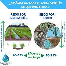 Pin En Tips Y Consejos