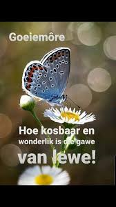 Glosbe uses cookies to ensure you get the best experience. Pin By Charmaine On Afrikaans Good Morning Quotes Afrikaanse Quotes Good Morning Wishes