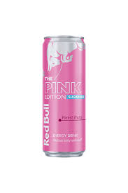 REDBULL ENERJİ İÇECEĞİ AHUDUDU 250 ML  * 24 ADET