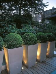 We'll review the issue and make a decision about a partial or a full refund. Best Evergreen Plants For Containers Outdoor Planters Outdoor Gardens Boxwood Landscaping