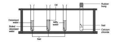 What Causes Iron To Rust? | Experiment | Rsc Education