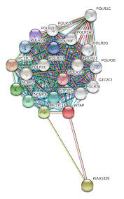 How to wtap (w tap tutorial) minecraft pvp. Wtap Protein Overview Sequence Structure Function And Protein Interaction Sino Biological