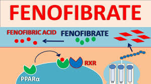 Image result for Fenofibrate