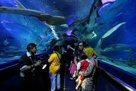 It was officially opened in august 2005. Aquaria Klcc E Tickets Skip The Queue Wonderfly
