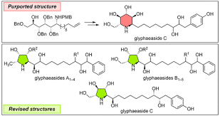Image result for Glyphaea