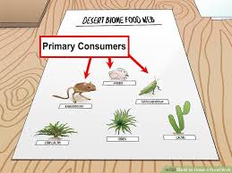How To Draw A Food Web With Pictures Wikihow