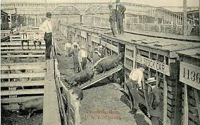 Unloading Hogs From Train At The Union Stock Yards 1912 Chicago Pin Of The Day 1 19 2016 Chicago History Chicago City Chicago