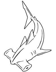 Hammerhead Shark Coloring Page Shark Coloring Pages Shark Drawing Shark Art