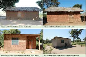 Are the kidneys located inside of the rib cage : Preferred Resting Surfaces Of Dominant Malaria Vectors Inside Different House Types In Rural South Eastern Tanzania Springerlink