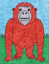 Orangutans are the slowest breeding of all primates. How To Draw An Orangutan Art Projects For Kids