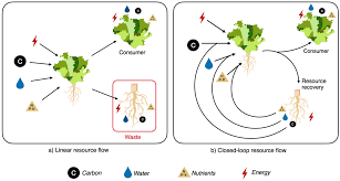 Run half of a brew cycle: Sustainability Free Full Text A Conceptual Framework For Incorporation Of Composting In Closed Loop Urban Controlled Environment Agriculture Html