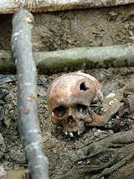 During this ceremony, bodies of nine victims that were recently identified were buried in the cemetery. Srebrenica Massacre Wikipedia
