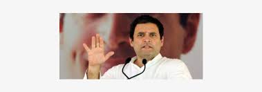 429 x 884 pixels size. Rahul Gandhi Transparent Png 449x269 Free Download On Nicepng