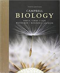 Campbell Biology 10th Edition Pdf Version Campbell Biology Biology Campbell