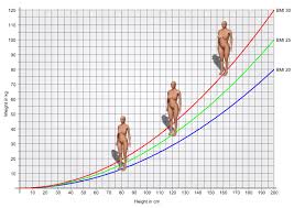 Bmi Calculator What Is My Bmi Our Calculator With 3d Body