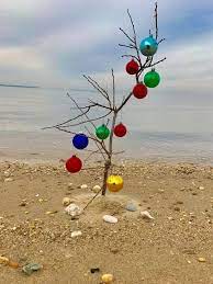 Check spelling or type a new query. Pin By Lulu Marinacci Martin On My Dream Beach House Beach Christmas Christmas Craft Projects