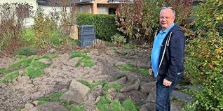 Wildschwein Horde Verwustet Teuren Garten In Konigs Wusterhausen
