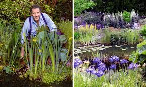 We did not find results for: Monty Don Shows How To Create A Wildlife Pond For Your Garden Or Patio Daily Mail Online