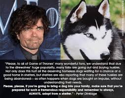 Check spelling or type a new query. Got S Peter Dinklage Warns That Buying Huskies As Direwolves Is Hurting Dogs