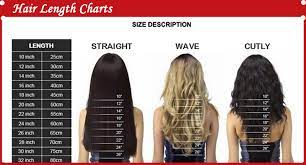 Maybe you would like to learn more about one of these? 2017 Rushed Custom 100 Human Hair Short Hairstyle 6 Inches Blonde Natural Layered Brazilian Remy Noce Lace Wig Free Shipping Lace Wig Human Hair Shorthuman Hair Aliexpress