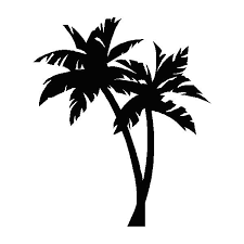 Black And White Palm Tree Pictures Palm Tree Palm Tree Silhouette Palm Tree Images Palm Tree Outline