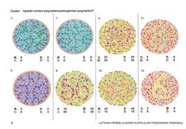 6 tahun 2016 tentang tunjangan hari raya keagamaan bagi buruh/pekerja di perusahaan dimana peraturan ini menggantikan peraturan menteri tenaga kerja. Contoh Soalan Ujian Komputer Lesen Memandu Ujian Kpp Jpj
