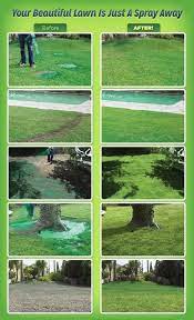 Go From Seed To Sod Just Like The Pros Seeding Lawn Lawn And Garden Backyard Plants