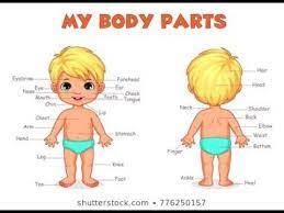 Here are some body parts names. Body Parts In Tamil English Youtube