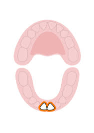 baby teeth order of appearance and loss images