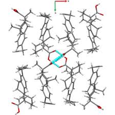 Image result for Staudtia