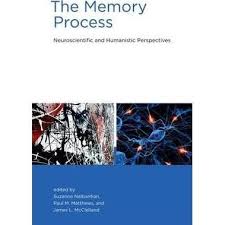 The Memory Process Neuroscientific And Humanistic Perspectives In 2020 Humanistic Perspective Memory Process Human Memory